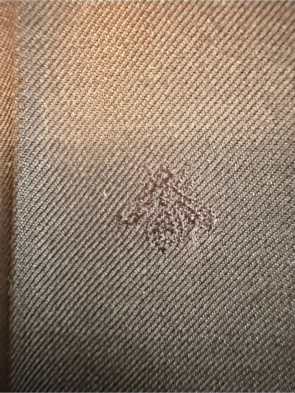 Gucci Bee Embossed Monaco Slacks